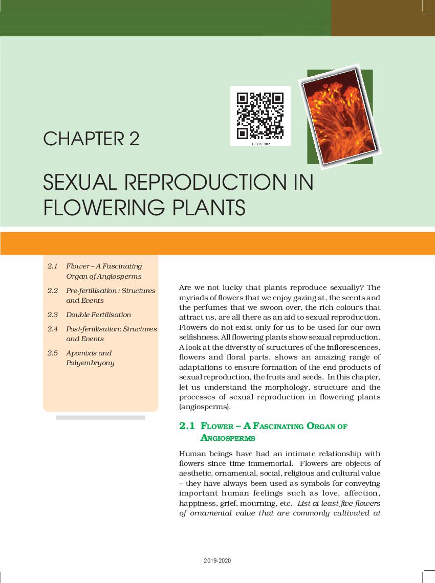 class 12 ncert biology pdf